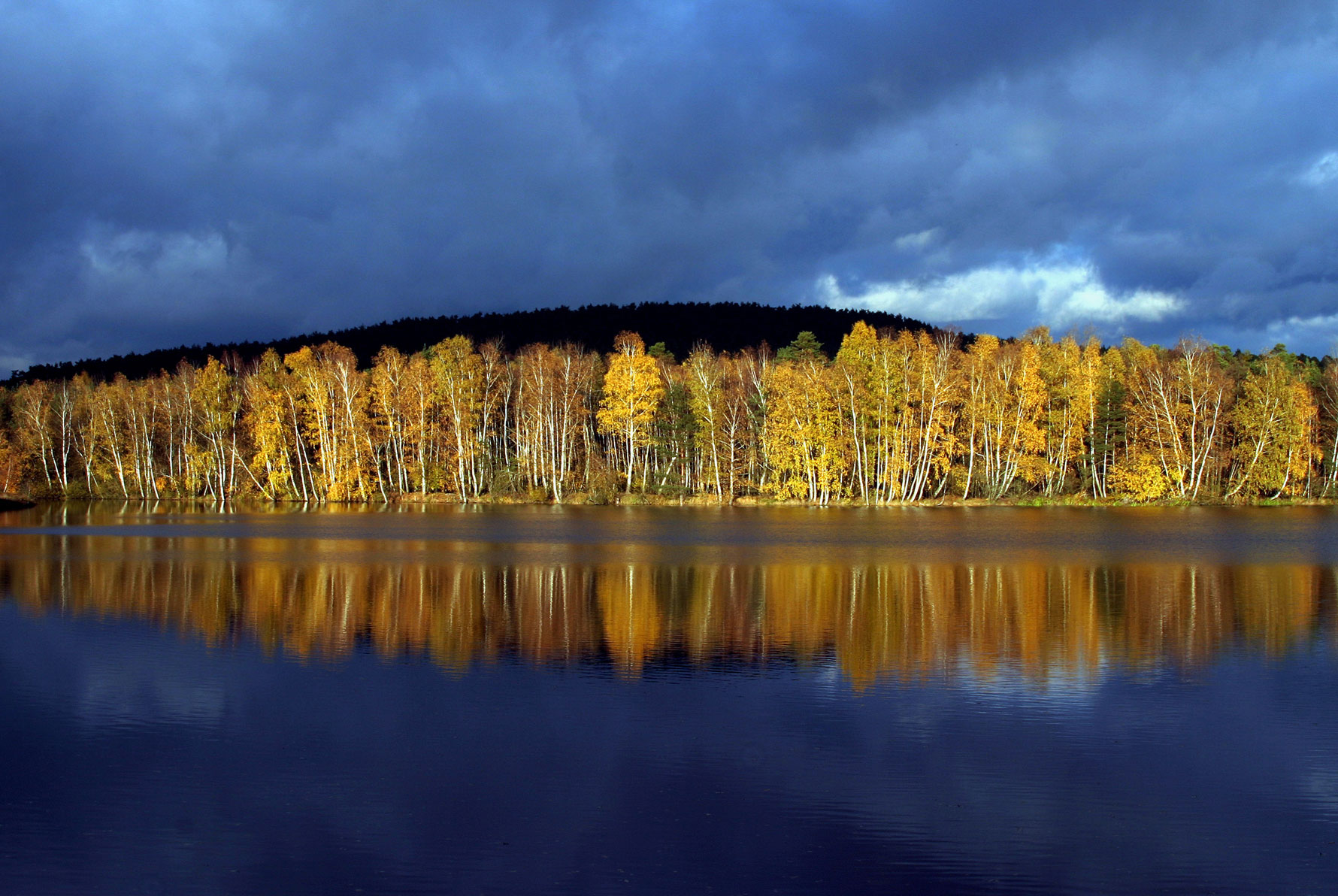 Wackersdorf - Herbst am Edelmannsee