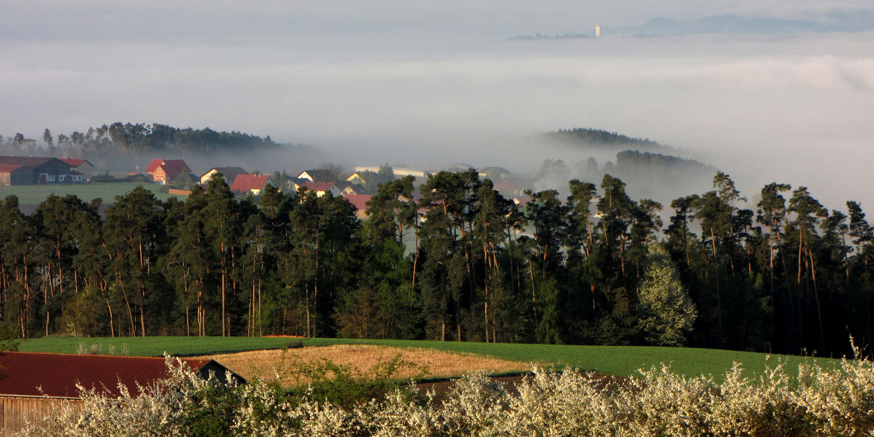 Wackersdorf ueber Sonnenried